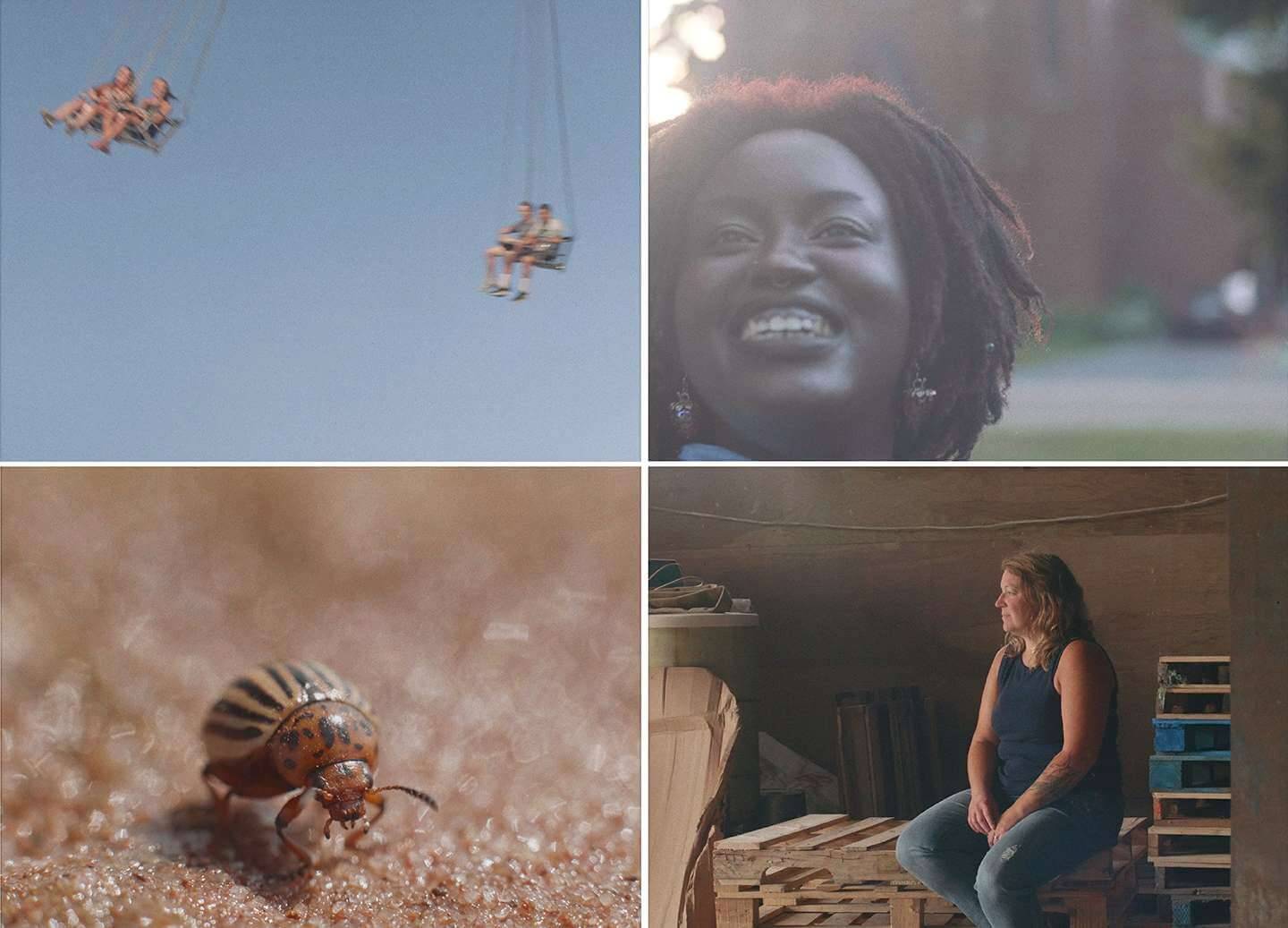 talking to humans… - The Buzz